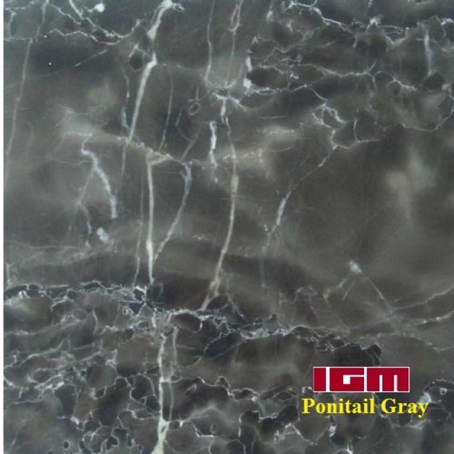Ponitail Gray